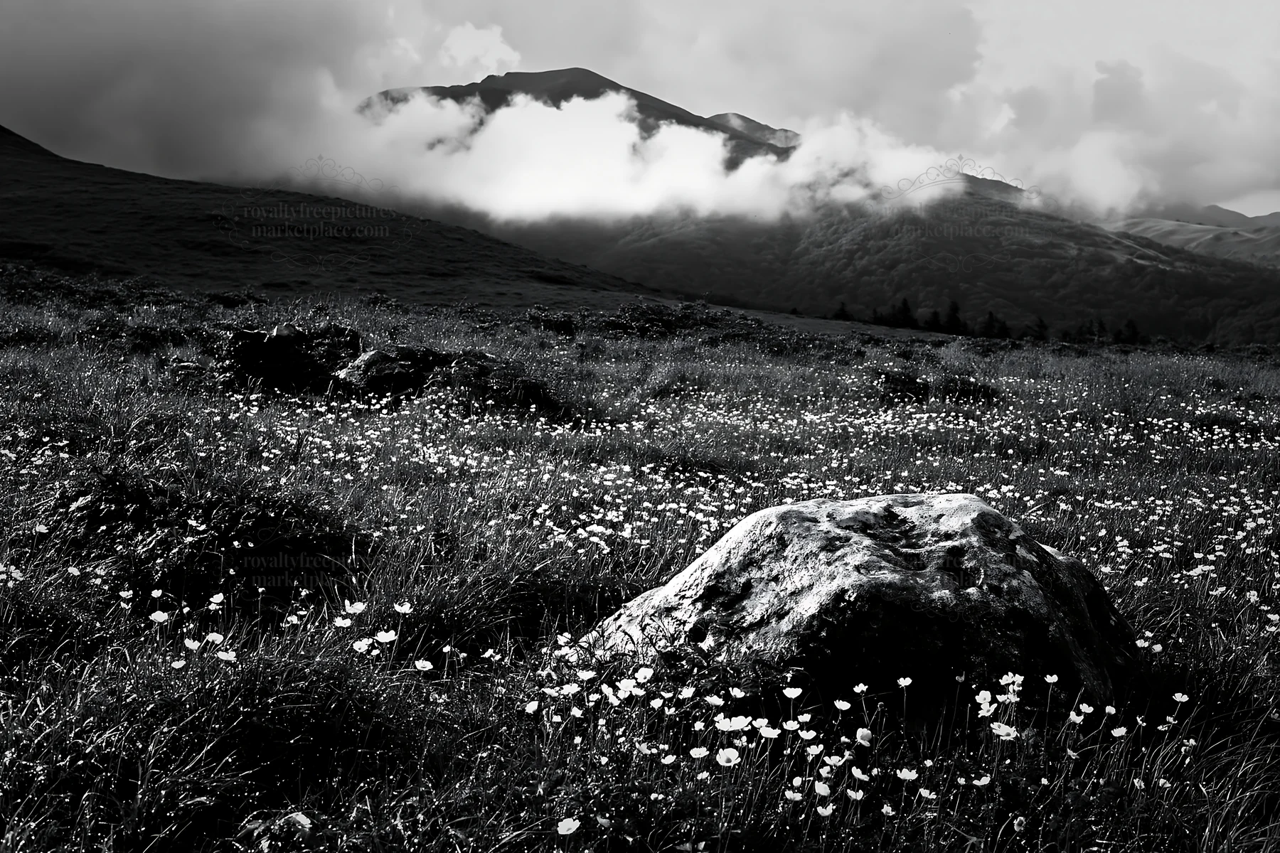 Yamaguchi limestone meadow with pale boulder and clouds - AI-generated stock image