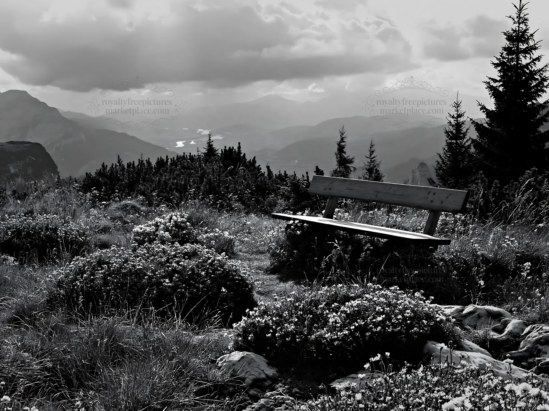Sainfoin chicory meadow with bench and mountain view - AI-generated stock image
