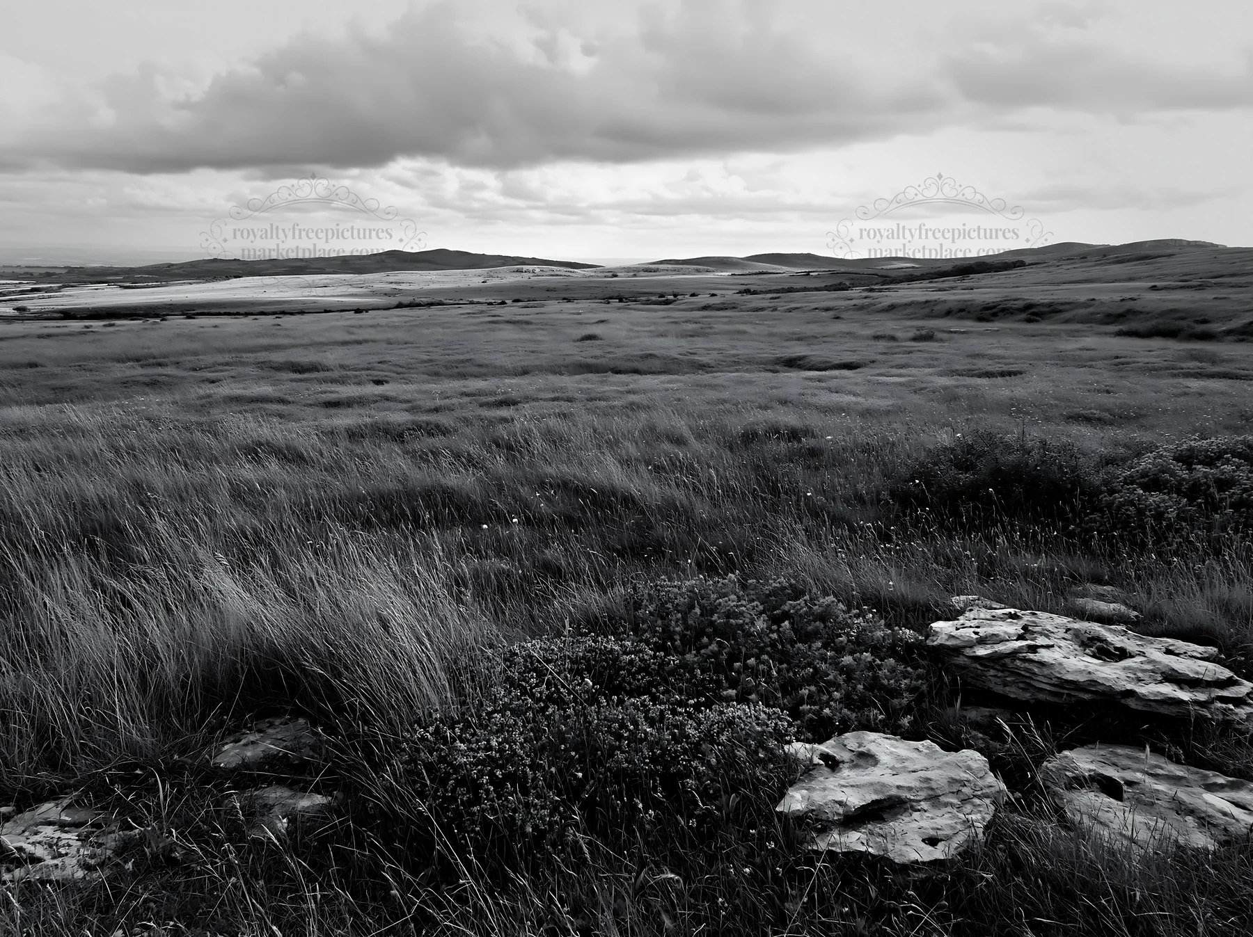 Cloudy dry limestone meadow with rocky outcrop and grass - AI-generated stock image