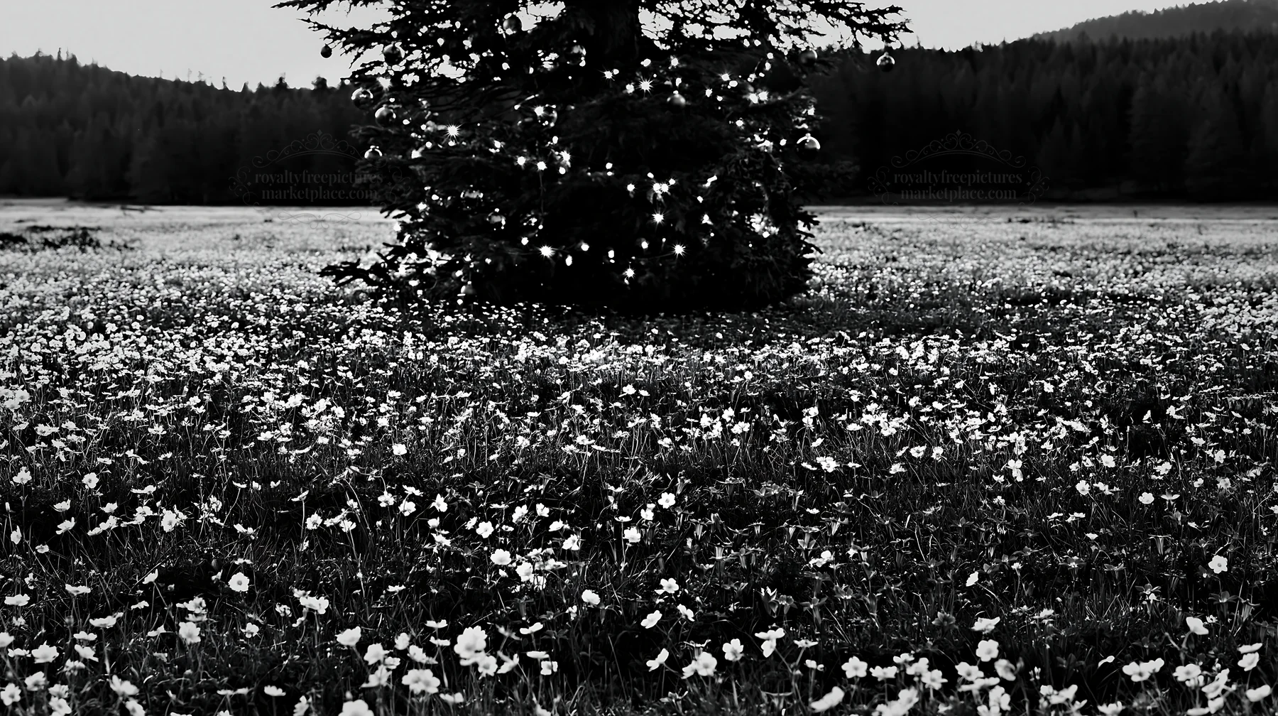 Christmas decorations near tree in mountain valley meadow - AI-generated stock image