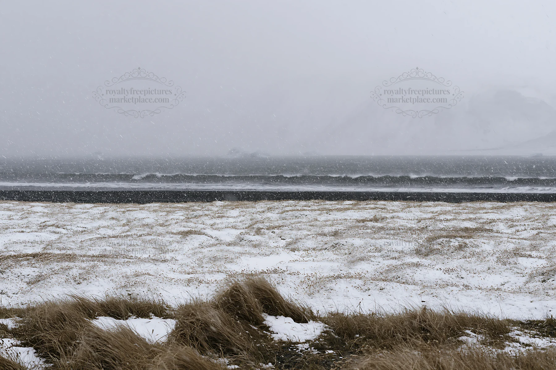 Snowy beach meadow with waves under cloudy sky - AI-generated stock image