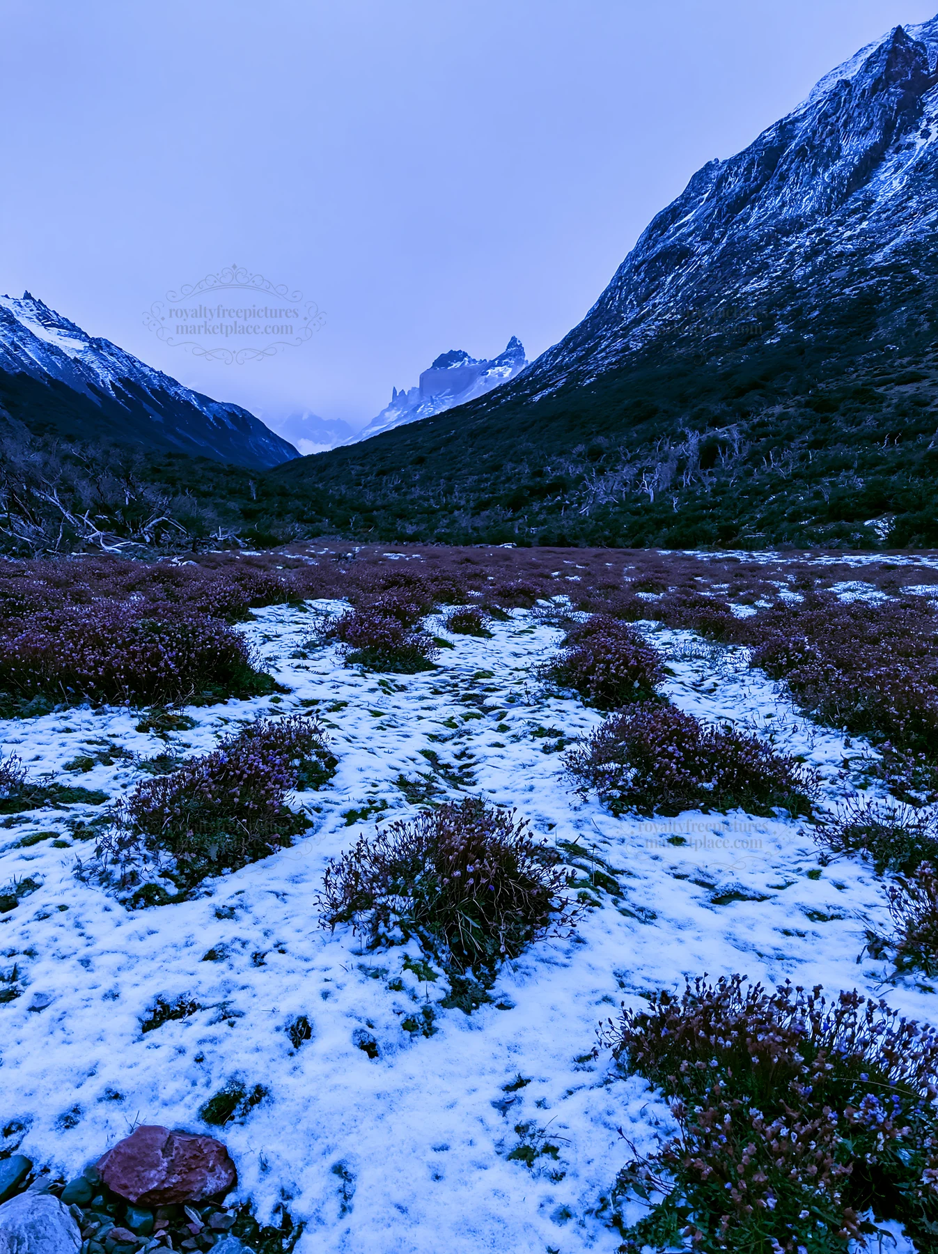 Torres del Paine meadow covered in snow - AI-generated stock image