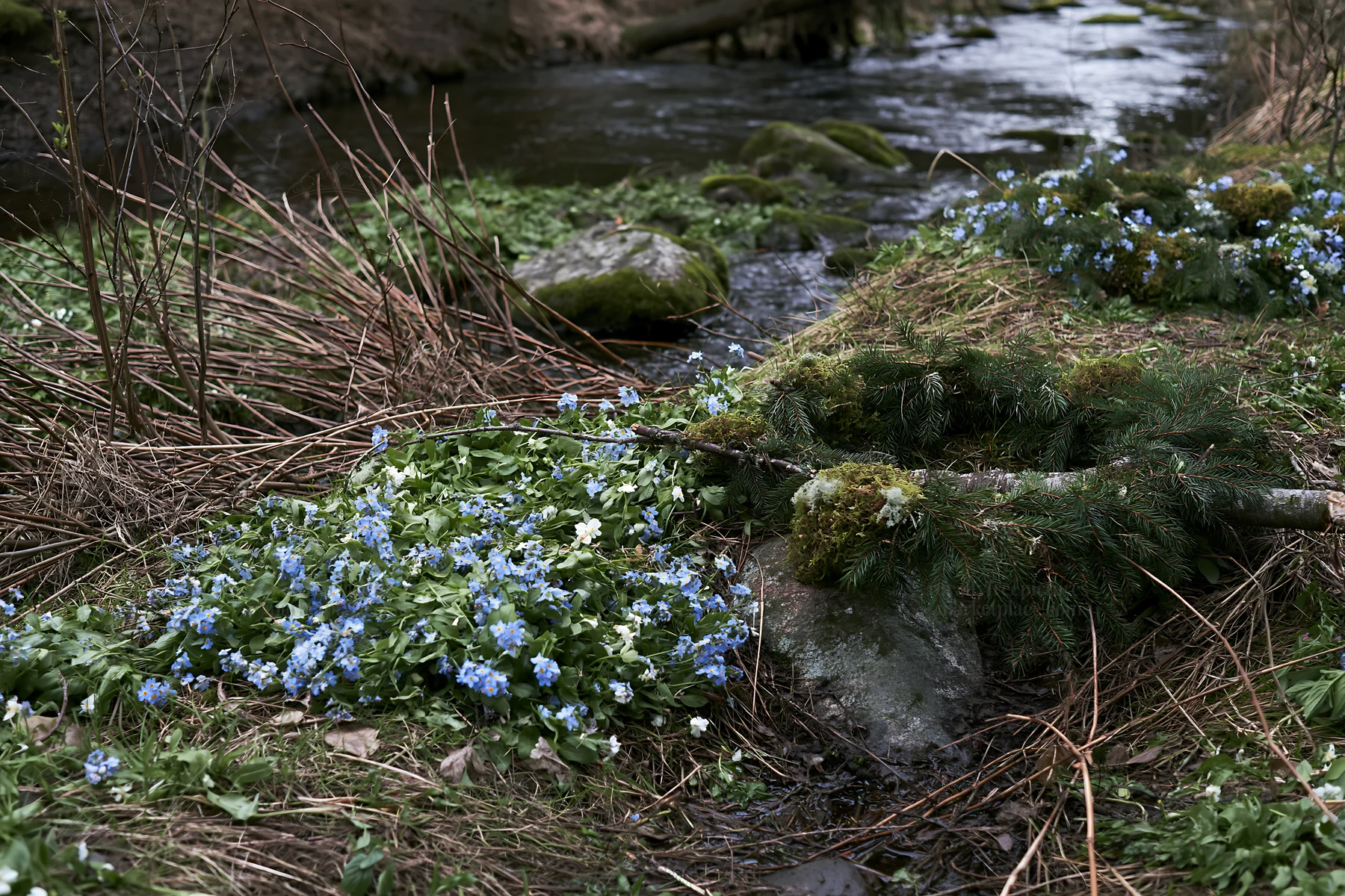 Christmas wreaths beside stream in meadow - AI-generated stock image
