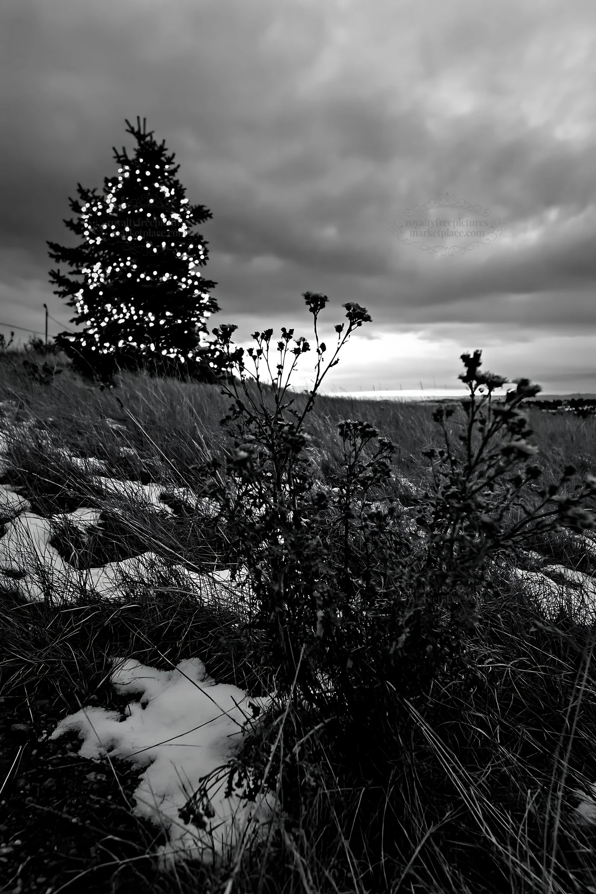 Decorated Christmas tree in snowy meadow with cloudy sky - AI-generated stock image