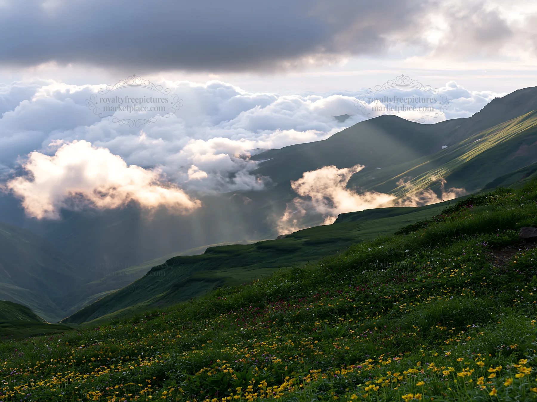 Daisetsuzan alpine meadow with sunlight and clouds at sunset - AI-generated stock image
