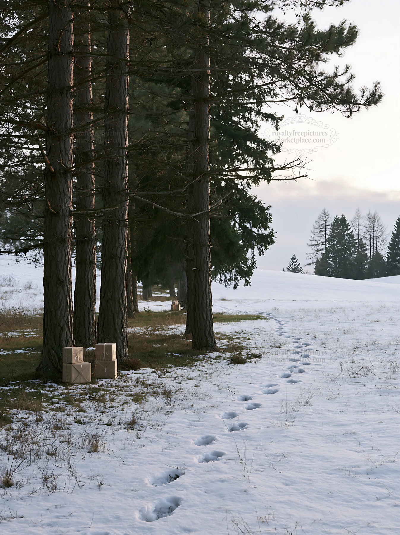 Meadow with snow and packages by the trees - AI-generated stock image