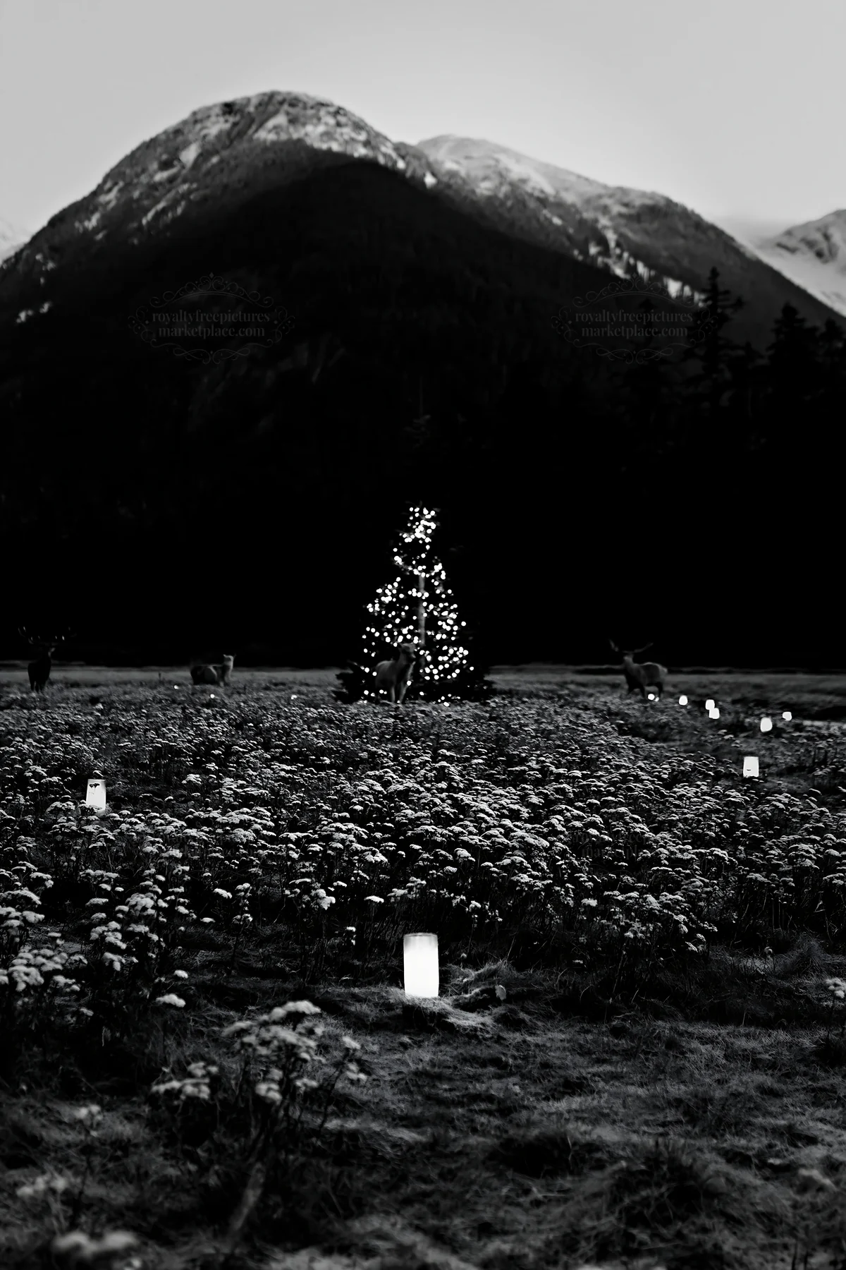 Christmas tree in meadow with mountains and deer nearby - AI-generated stock image