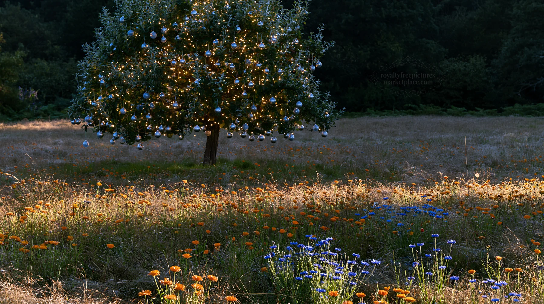 Christmas apple tree with ornaments in meadow at dusk - AI-generated stock image
