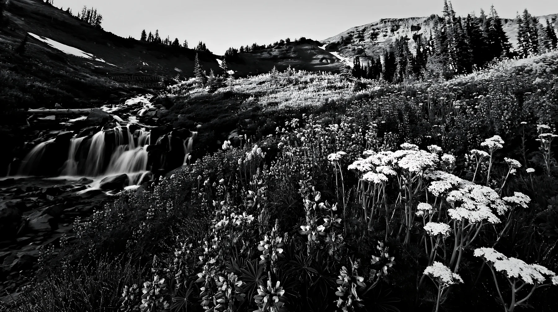 Mountain flower meadow with waterfall during daylight - AI-generated stock image