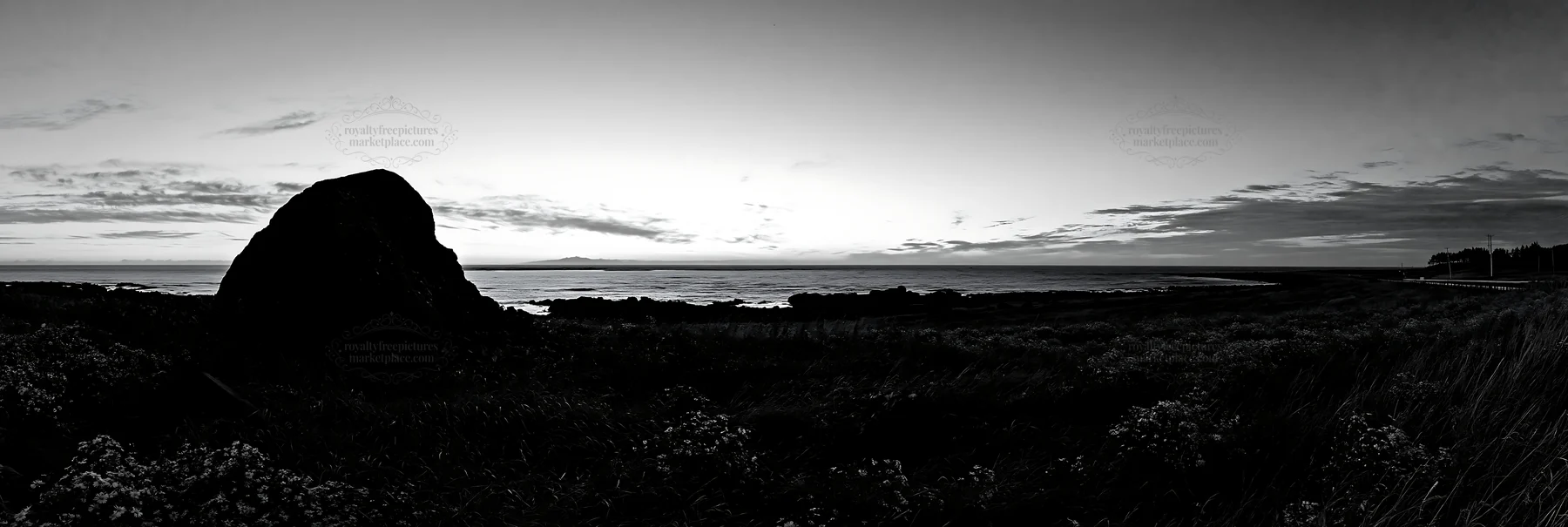Black and white aomori climate resilient meadow with boulder at sunset - AI-generated stock image