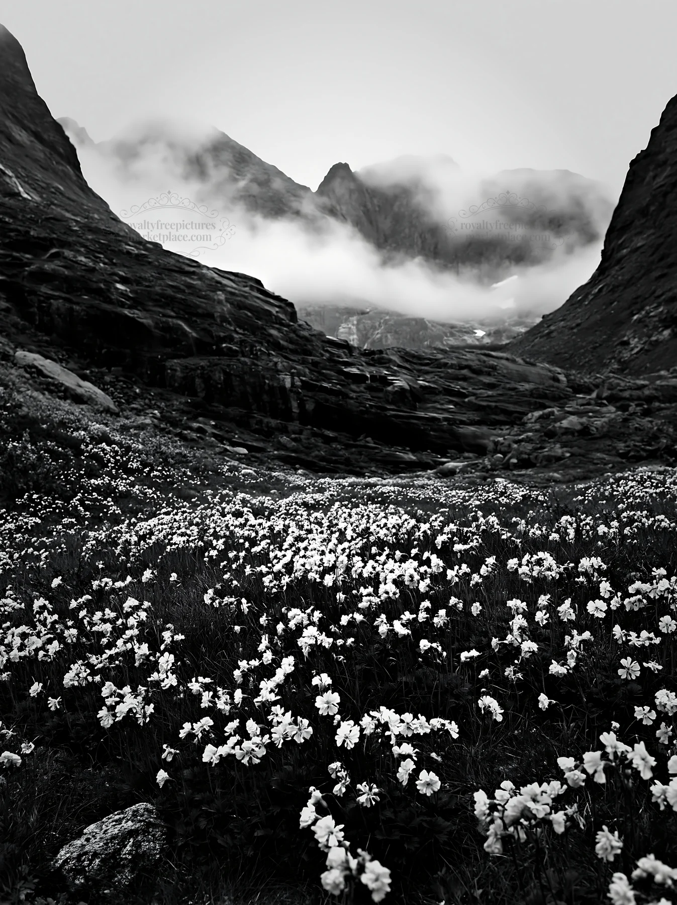 Black and white mountain pass meadow with flowers and towering mountains - AI-generated stock image