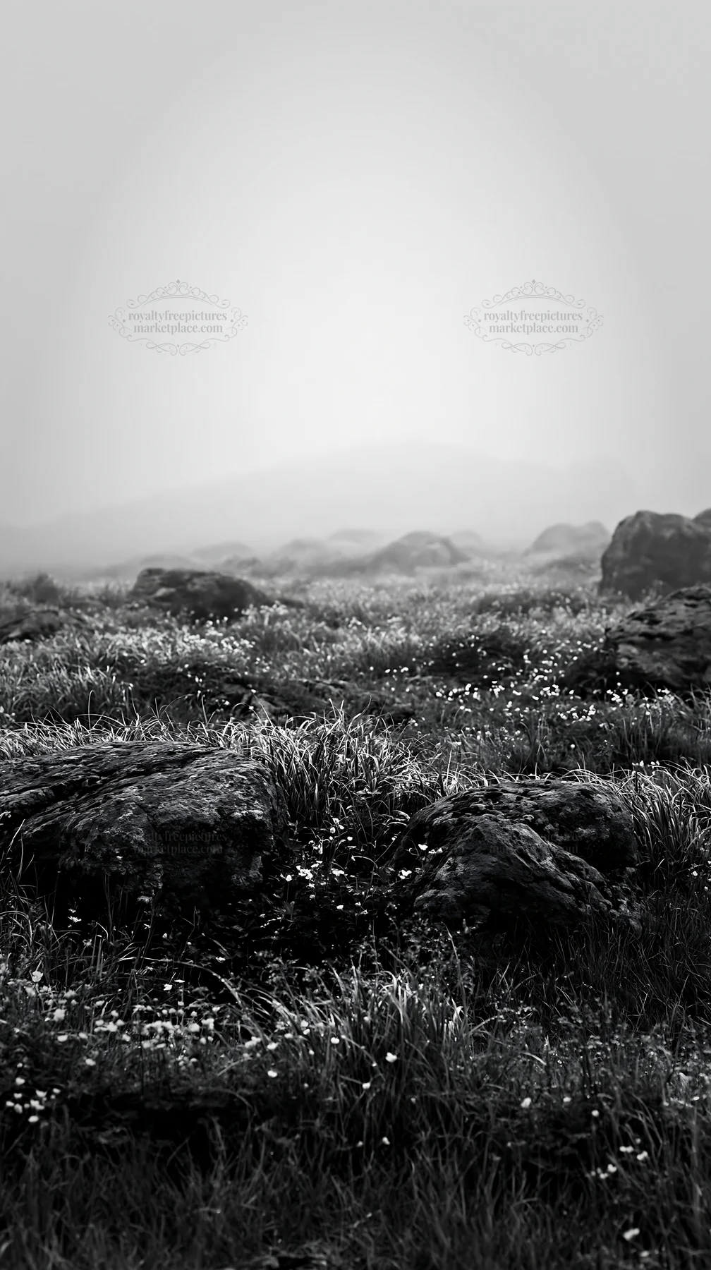 Black and white oita highland meadow with granite stones under fog - AI-generated stock image