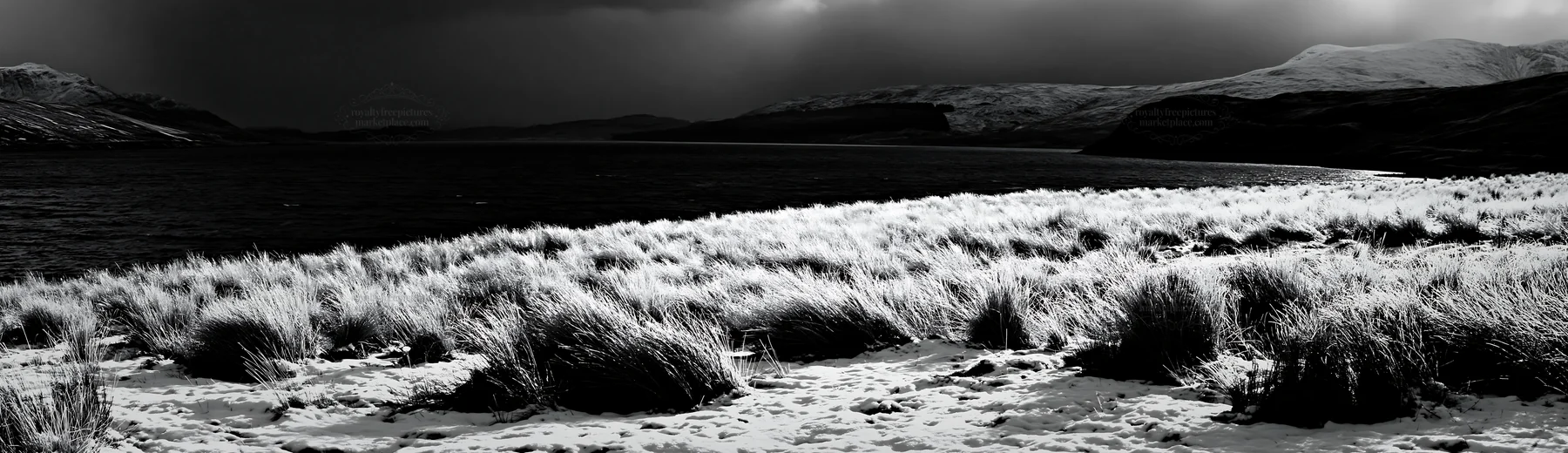 Snowy lakeside meadow under dark skies - AI-generated stock image