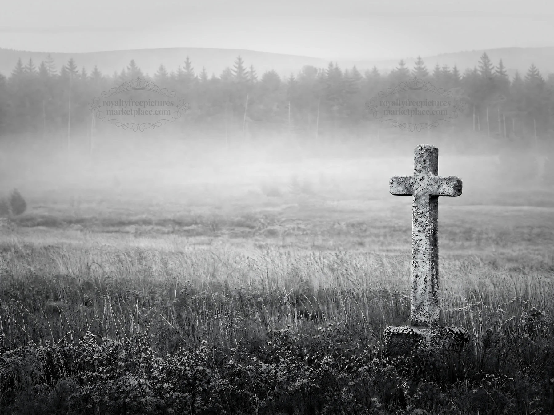 Weathered Christian cross in misty meadow with trees - AI-generated stock image