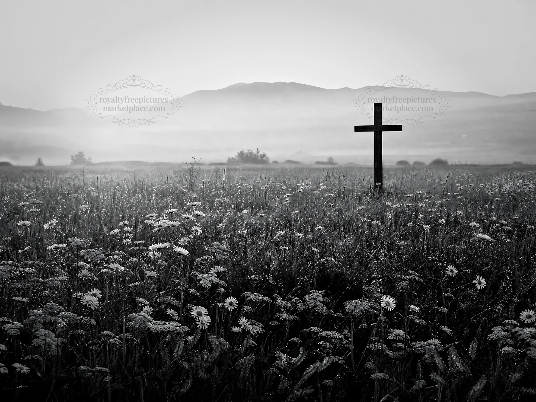 Wooden Christian cross in meadow with light rays at sunrise - AI-generated stock image
