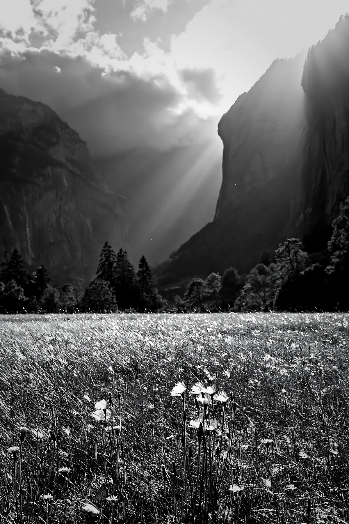 Light rays shine through clouds above Lauterbrunnen Valley - AI-generated stock image
