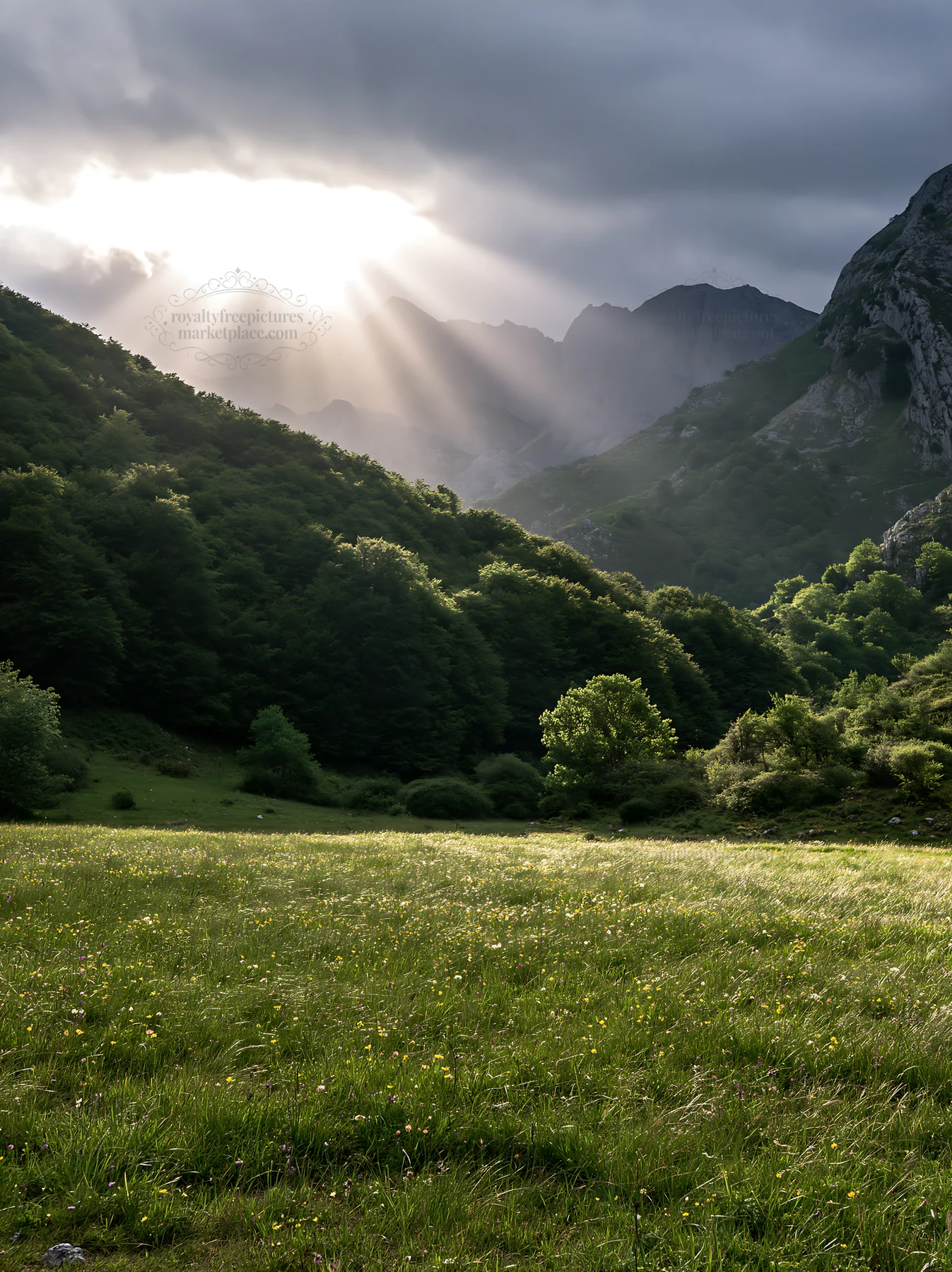 Sunrays shining over Picos de Europa meadow - AI-generated stock image