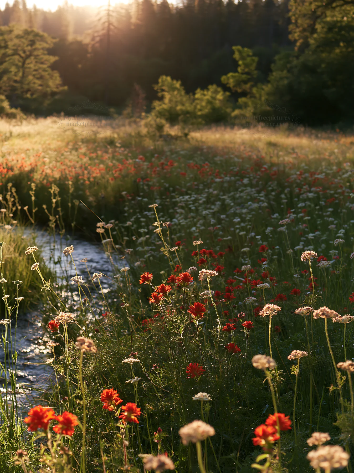 Christmas wreaths beside stream in meadow with flowers - AI-generated stock image