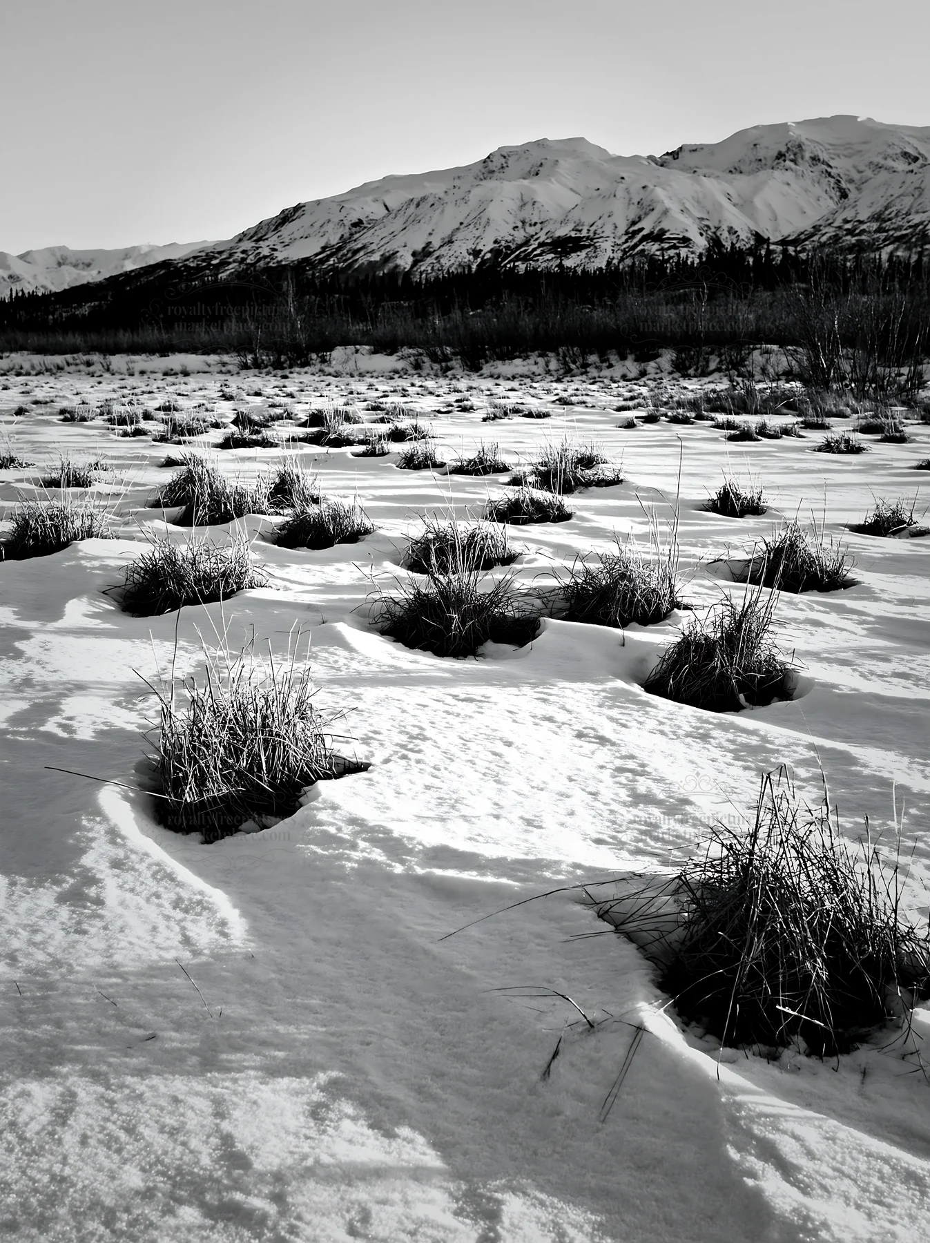 Snowmelt meadow with snow-covered ground and distant mountains - AI-generated stock image