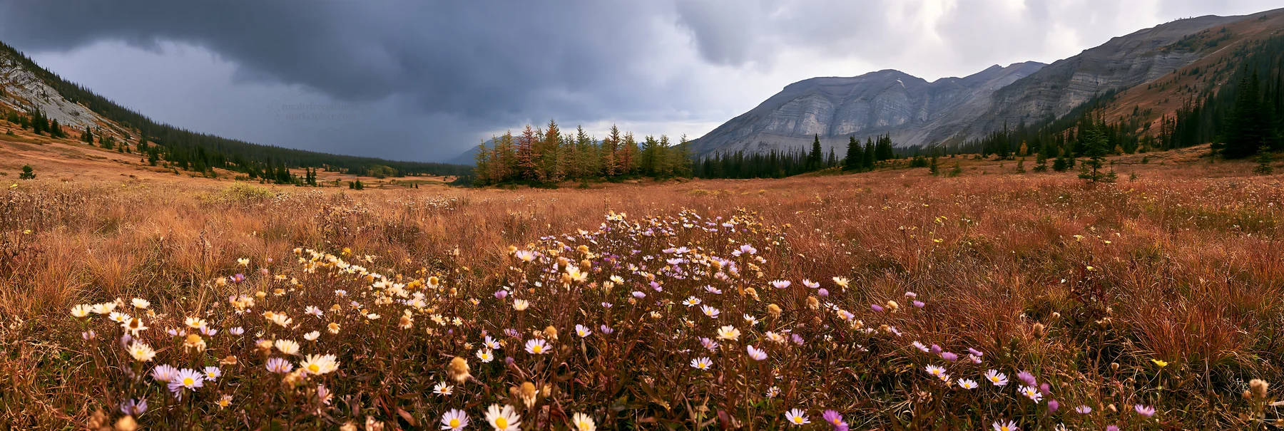 Autumn meadow with flowers and mountains in the background - AI-generated stock image
