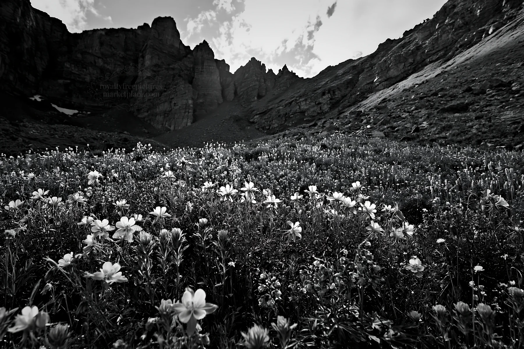 Meadow landscape with flowers beneath rocky crags - AI-generated stock image