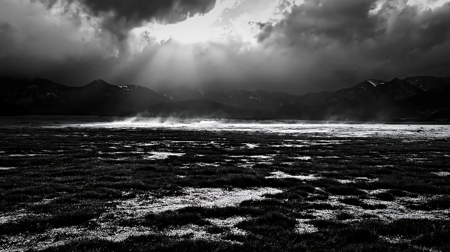 Light rays shine over a meadow in the Bucegi Mountains - AI-generated stock image