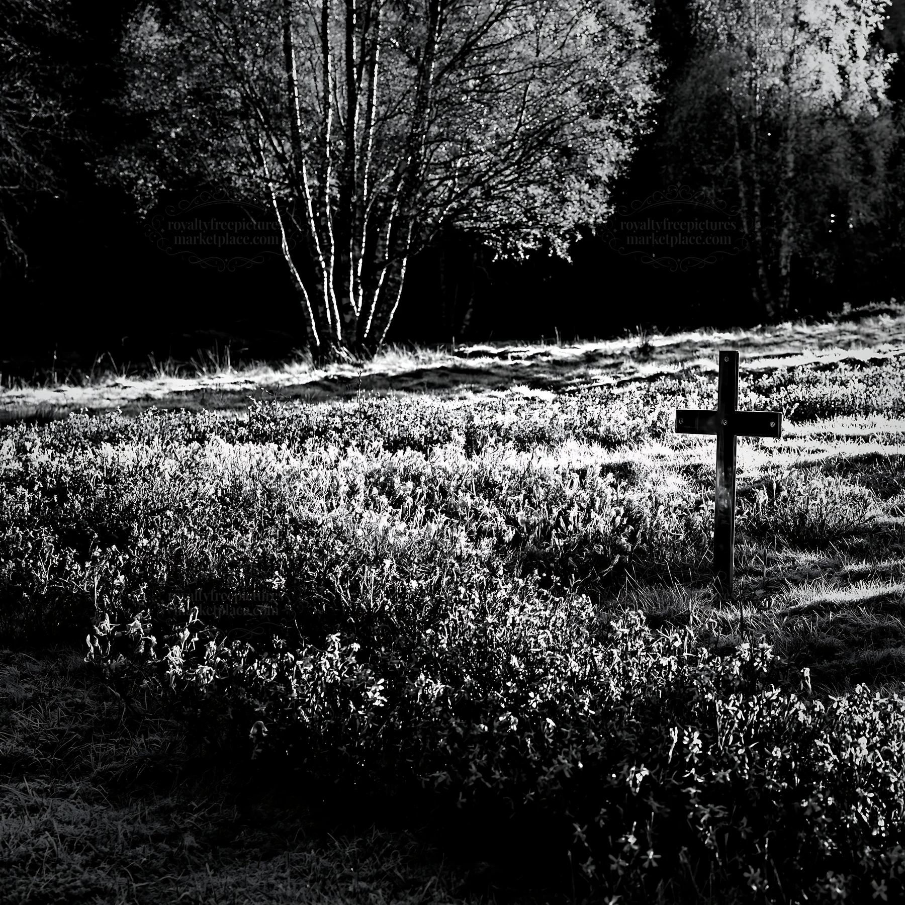 Christian cross on frost covered meadow in winter light - AI-generated stock image