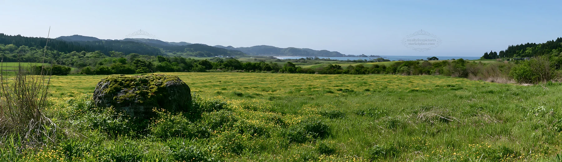 Mossy stone in Miyagi spring recovery meadow under clear sky - AI-generated stock image