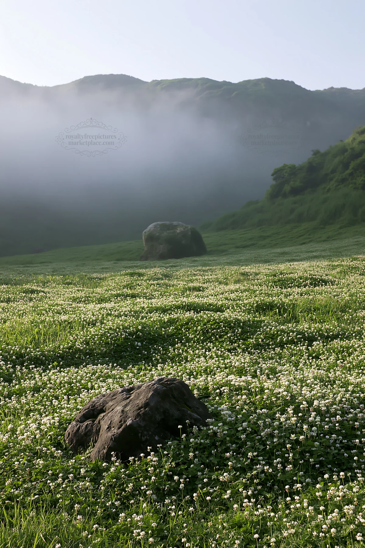 Yamaguchi limestone meadow with pale boulder in morning light - AI-generated stock image