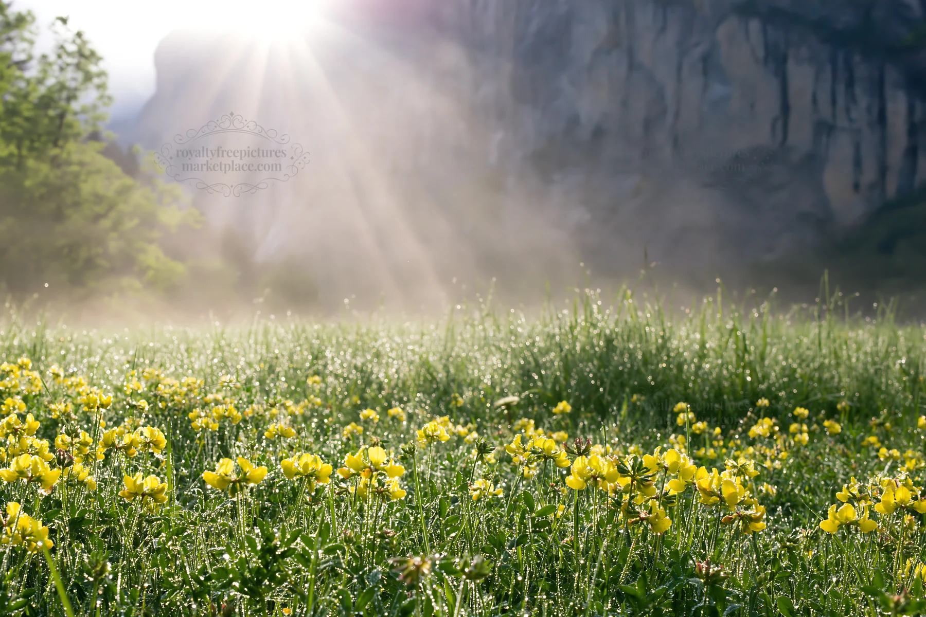 Light rays over meadows in Lauterbrunnen Valley - AI-generated stock image