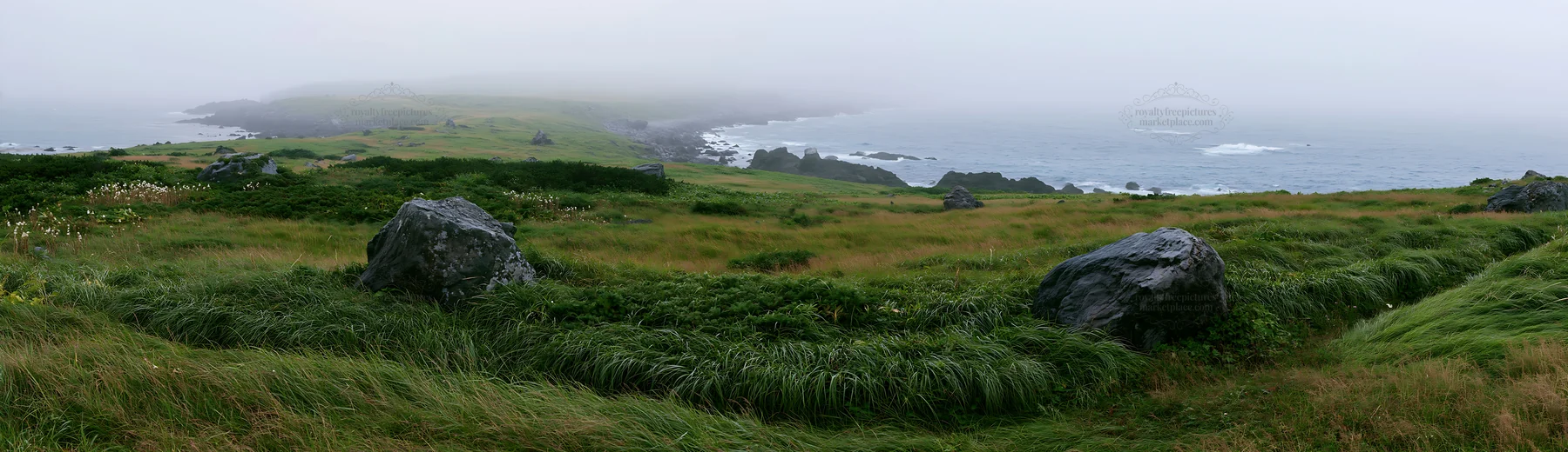 Aomori climate resilient meadow with boulder - AI-generated stock image