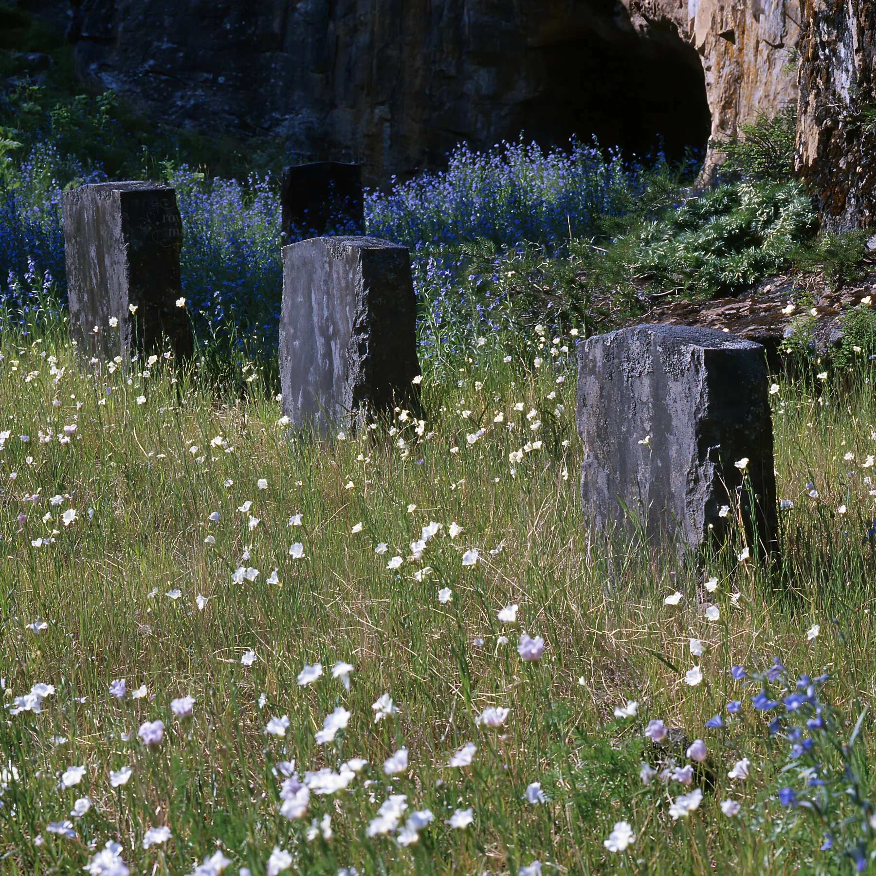 Christmas wreaths near cave in meadow with wildflowers - AI-generated stock image