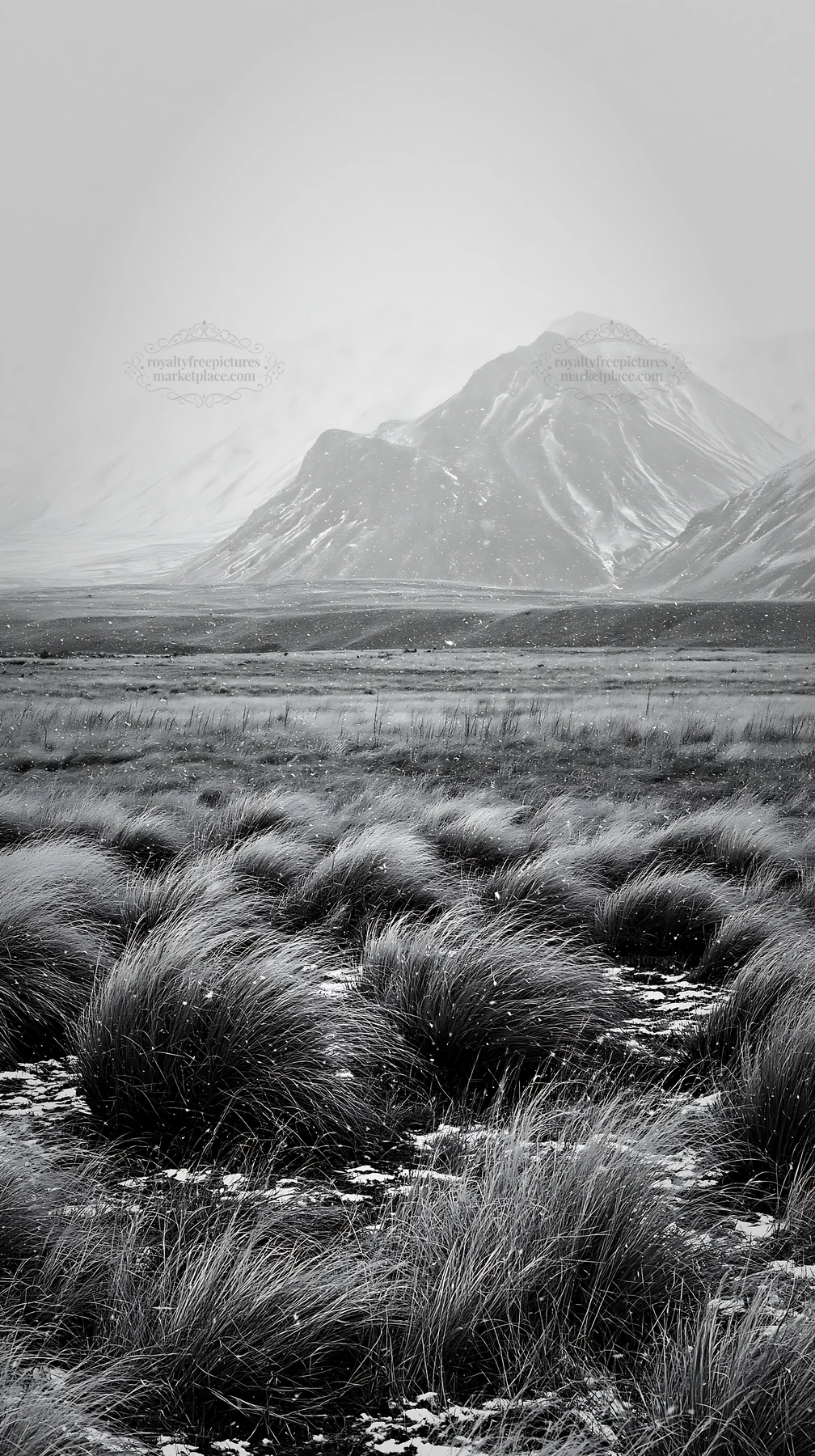 Snowy alps and meadow in Lake Tekapo during winter - AI-generated stock image