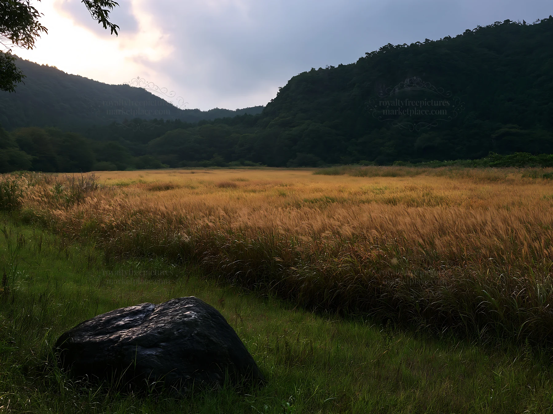 Hiroshima meadow with smooth rock and rainy sky - AI-generated stock image