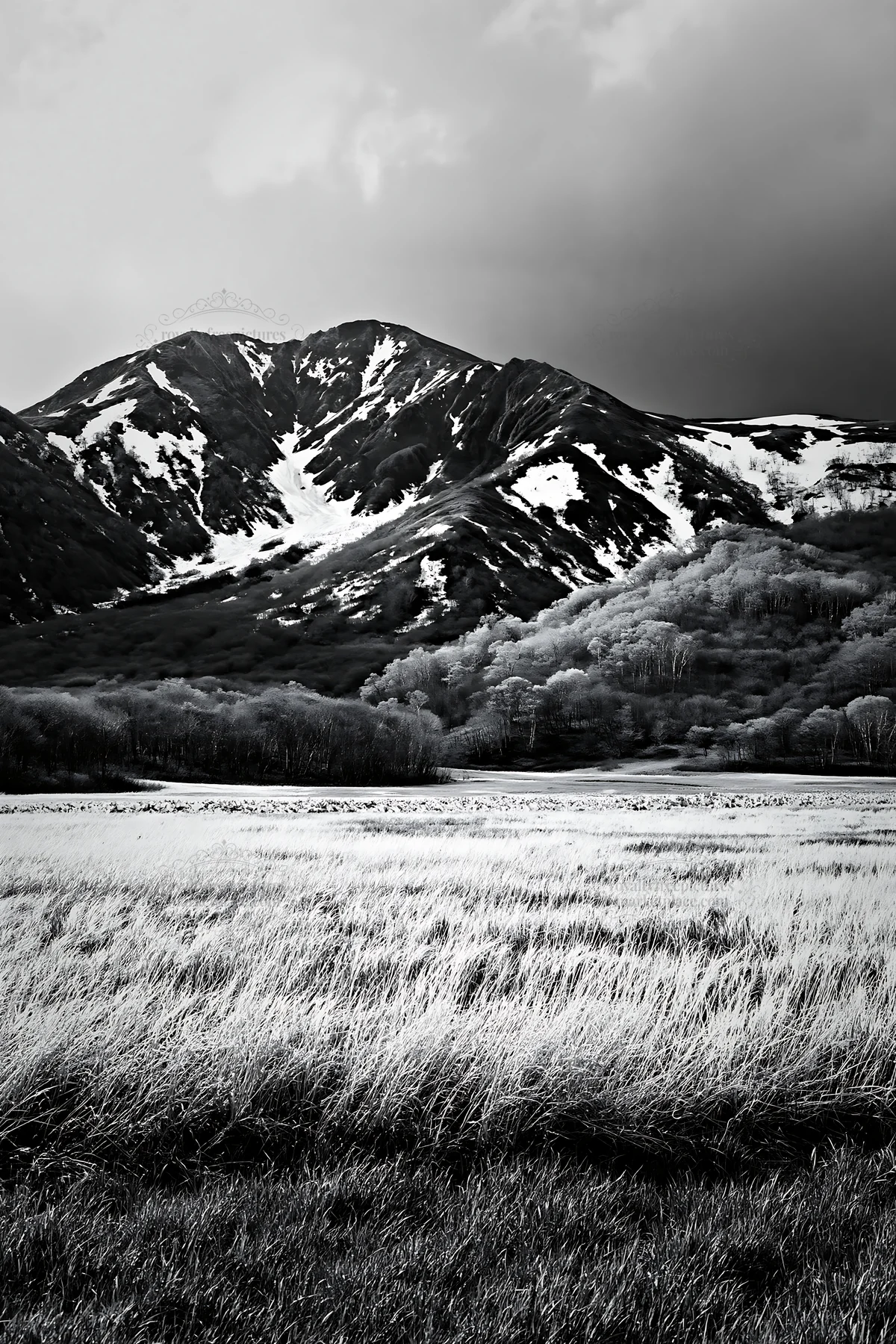 Akita snowmelt meadow with silver grasses and mountains - AI-generated stock image
