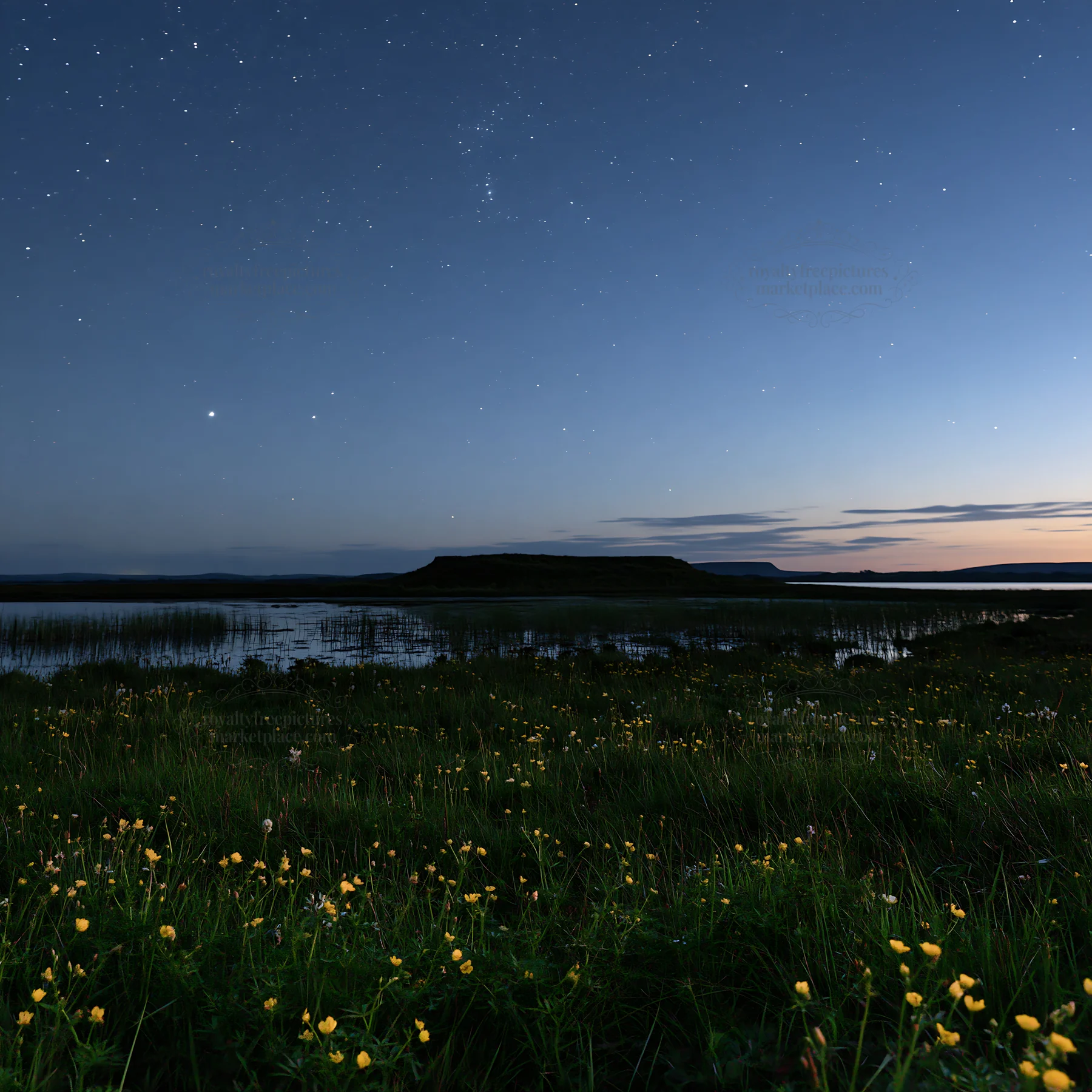Star-filled meadow with lake at dusk - AI-generated stock image