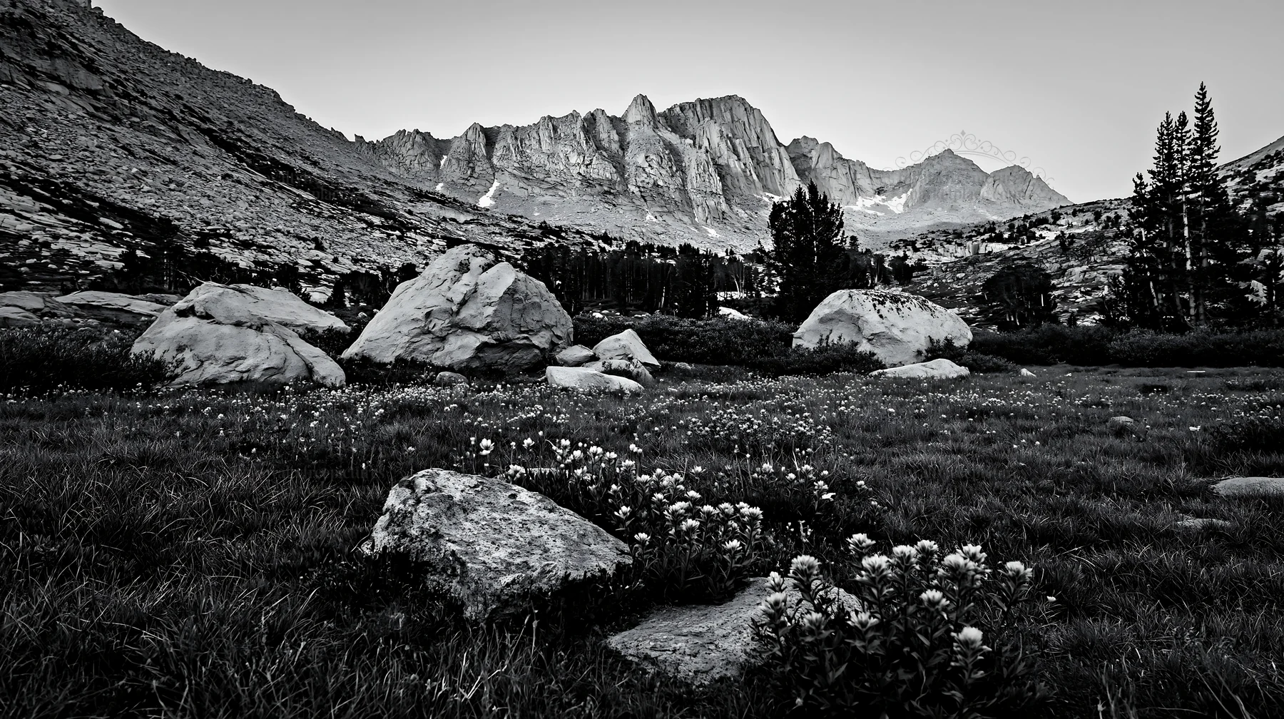 Mossy boulders in a meadow with distant mountains - AI-generated stock image
