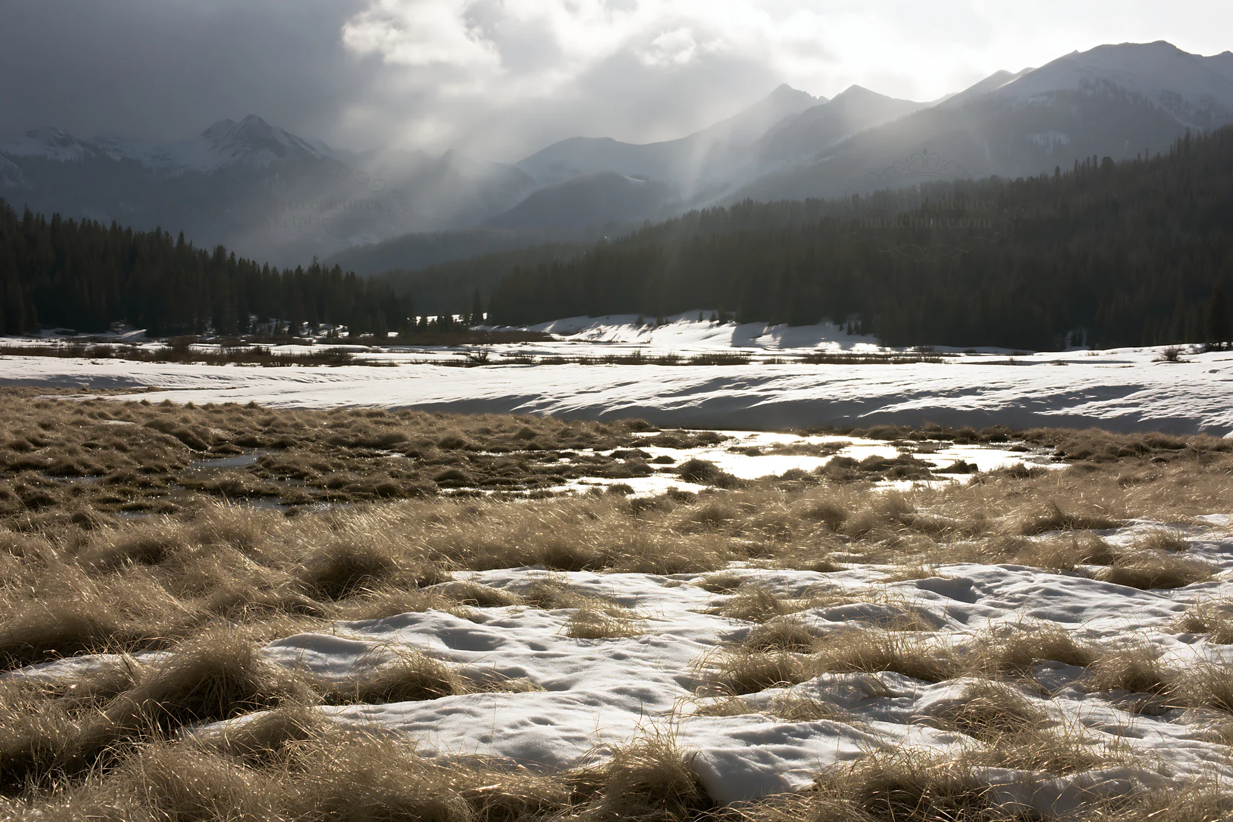 Snowbound meadow under cloudy sky with mountains in background - AI-generated stock image