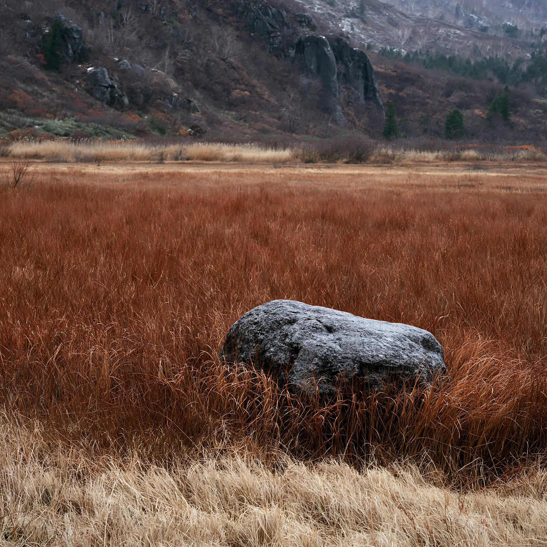Nagano drought resilient meadow with granite boulder - AI-generated stock image