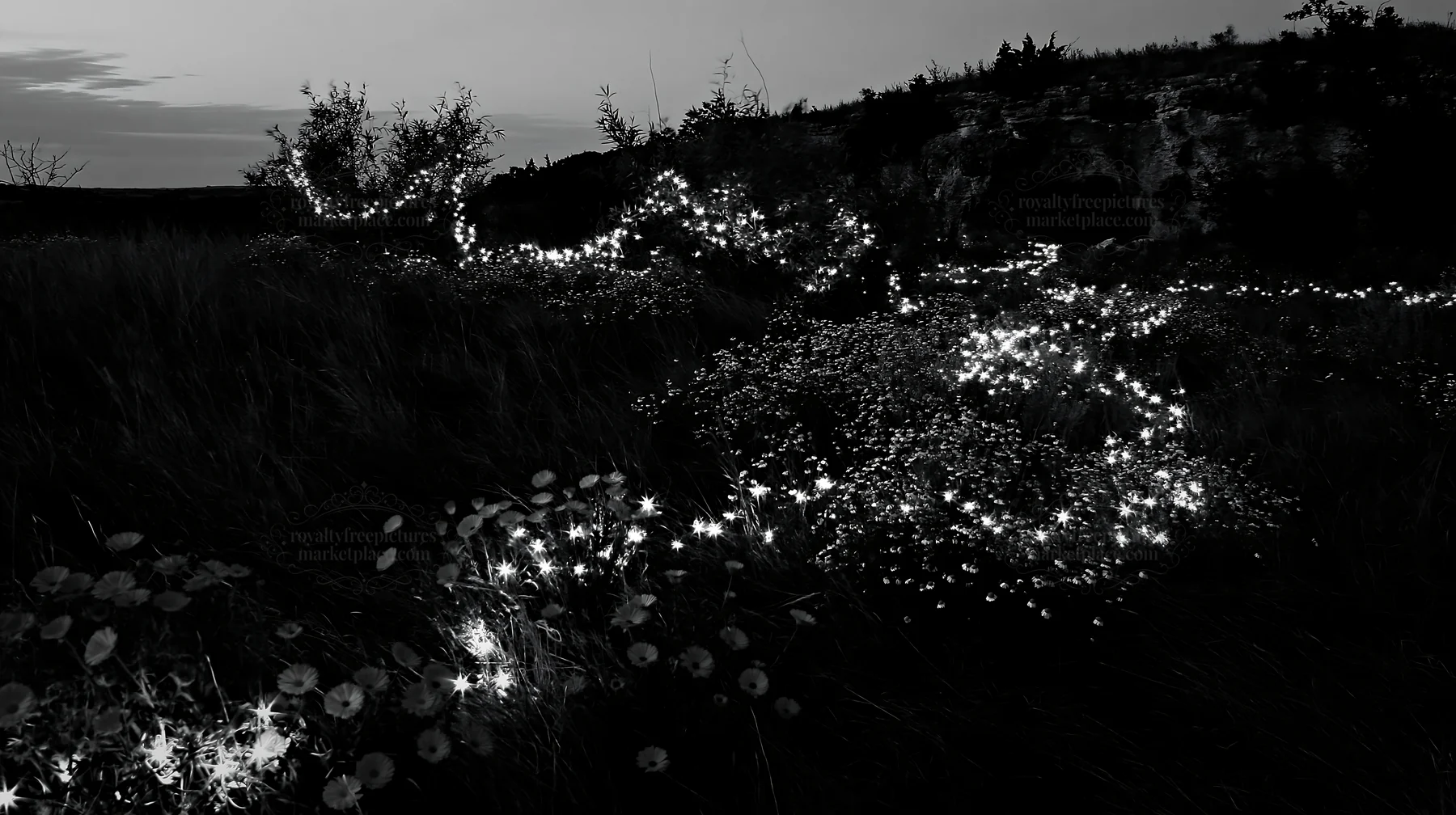Christmas lights at dusk in meadow near cave - AI-generated stock image