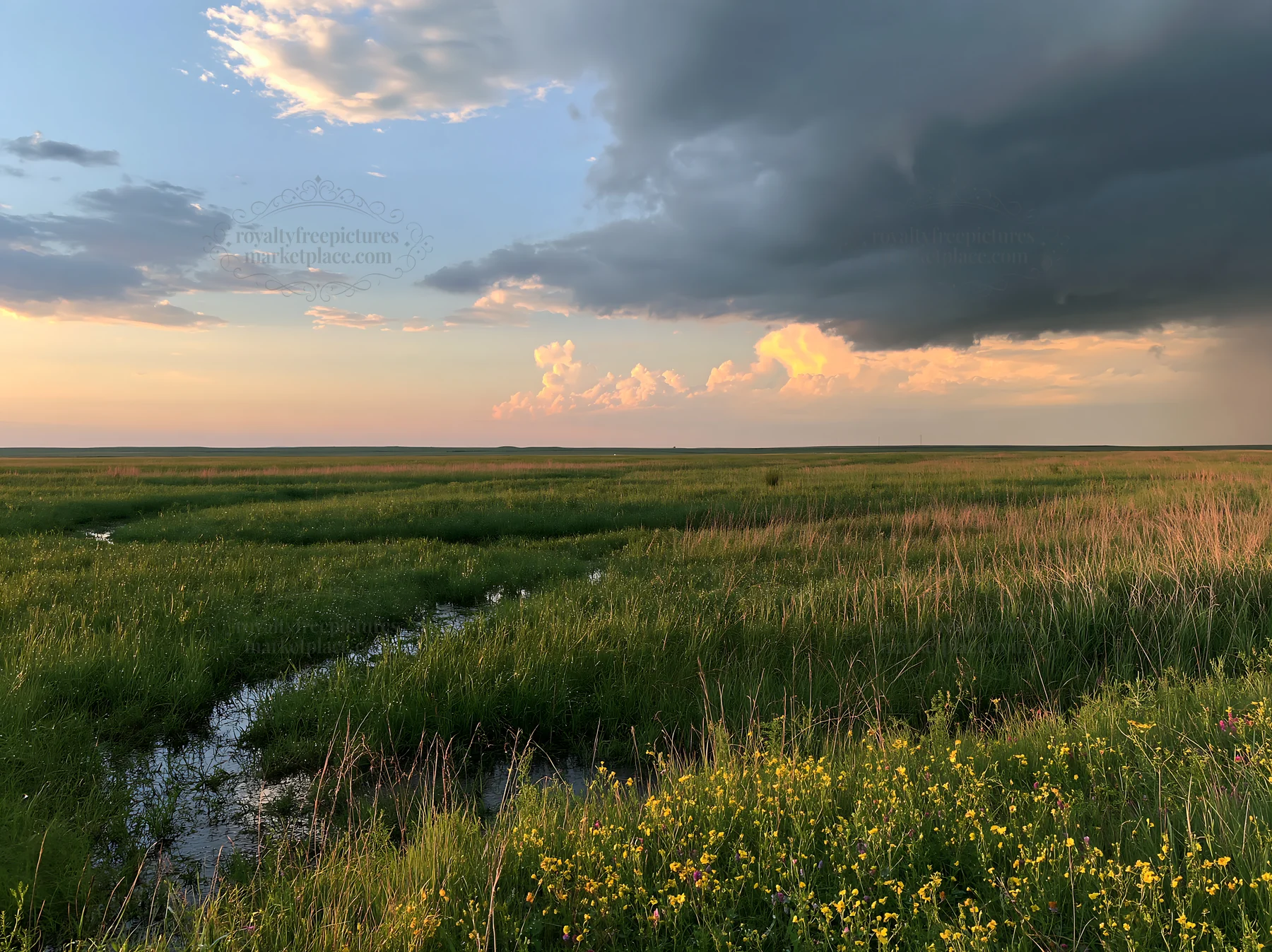 Rainwashed meadow with grassy fields and clouded sky - AI-generated stock image