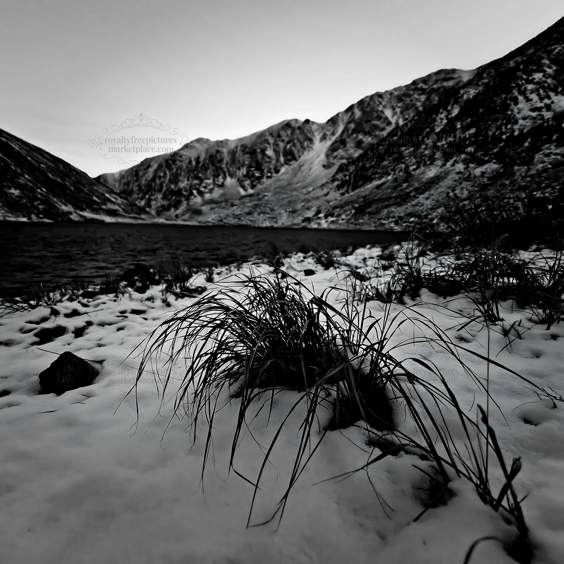 Lakeside meadow covered with snow in early winter - AI-generated stock image