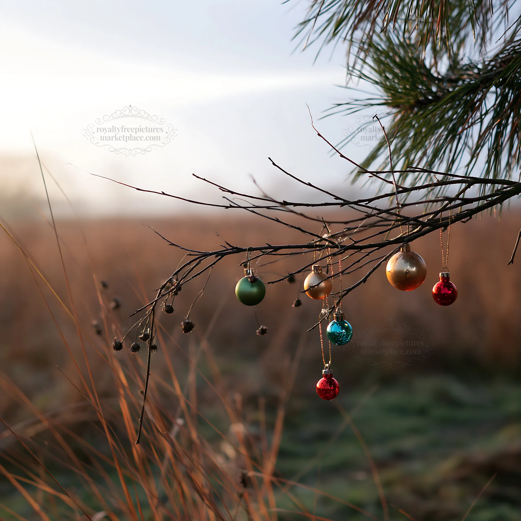 Christmas baubles hanging on branch in autumn meadow - AI-generated stock image