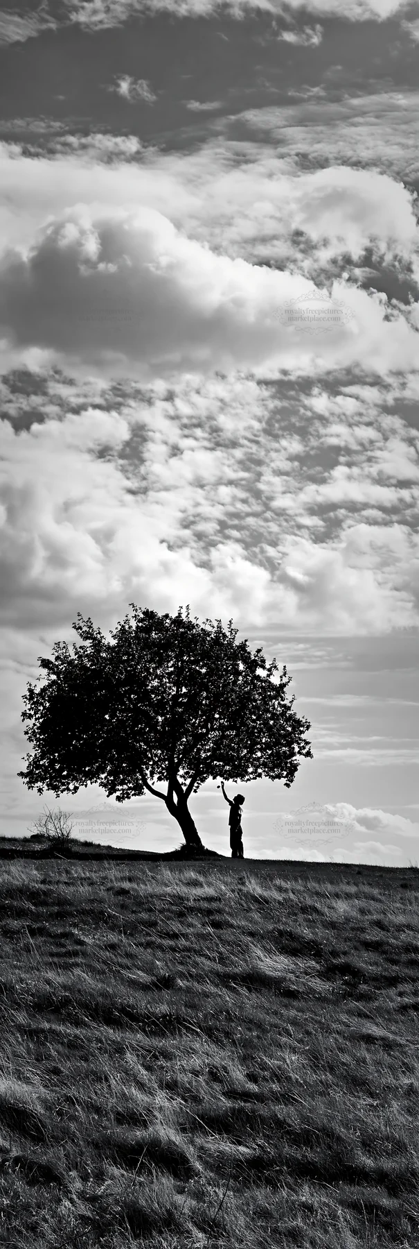 Easter apple tree silhouette with person standing under - AI-generated stock image