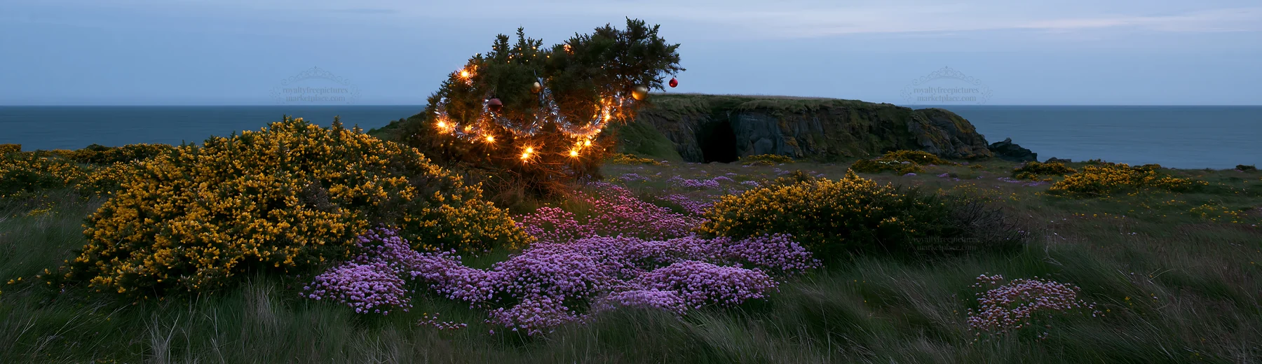 Christmas lights beside cave in meadow near the sea - AI-generated stock image