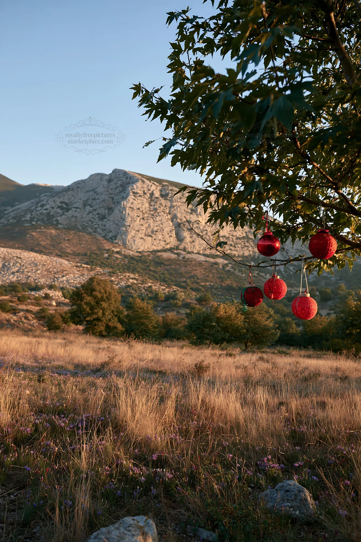 Expansive meadow with Christmas baubles hanging from a branch - AI-generated stock image