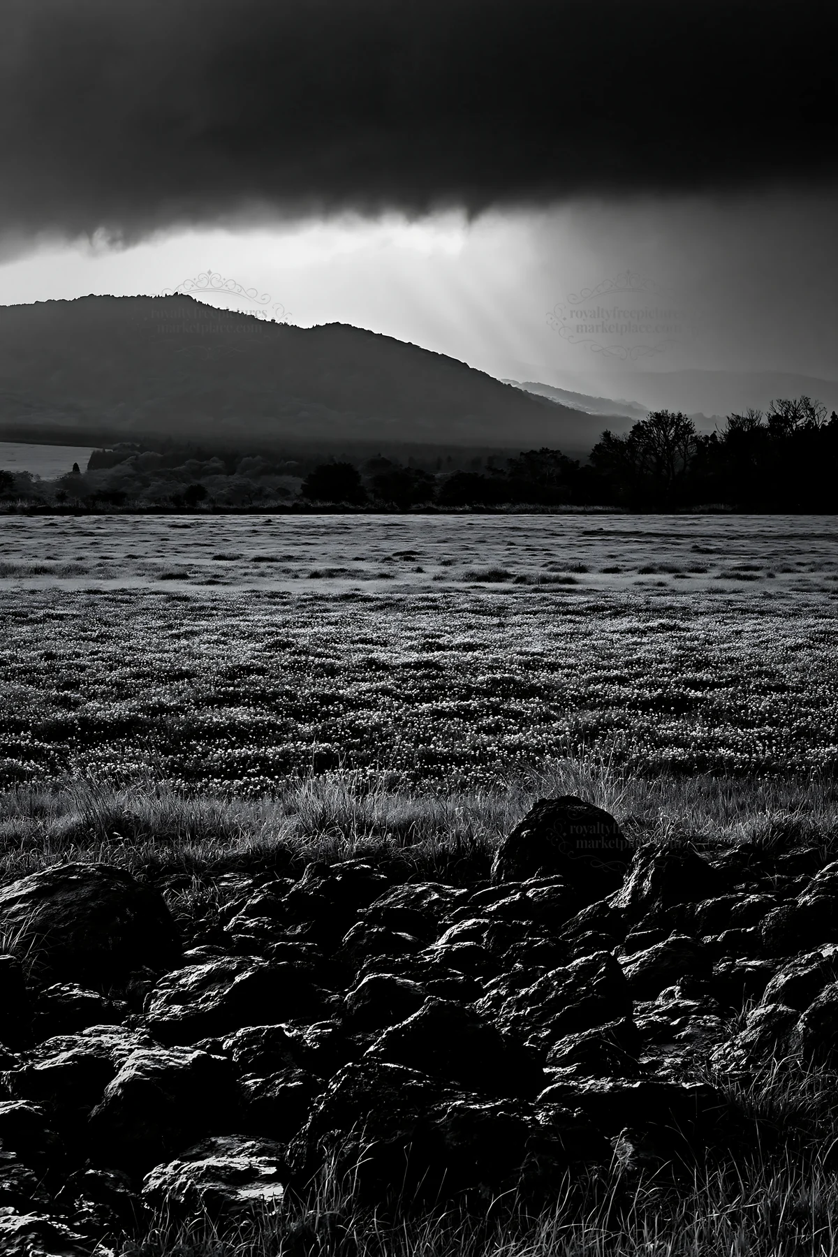Black and white kumamoto volcanic meadow dark rock foreground with green field - AI-generated stock image