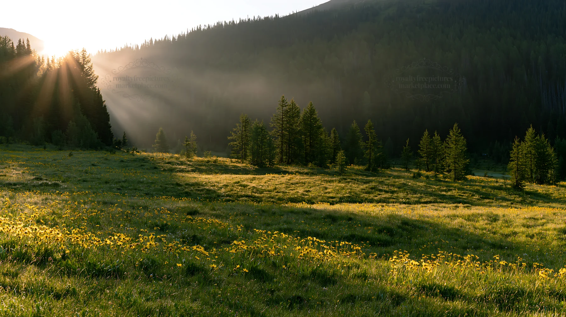 Sunshine rays over meadows in Banff National Park - AI-generated stock image