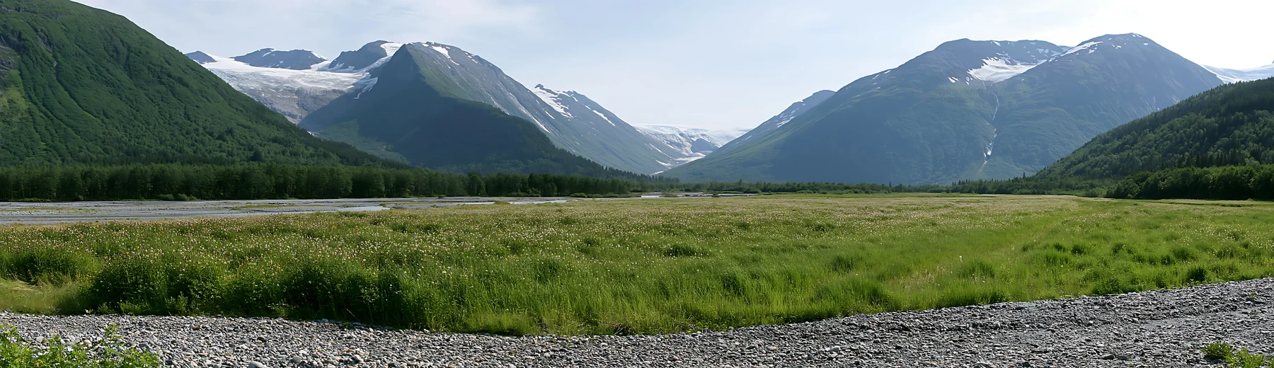 Regenerative meadow in mountain valley with snow-capped peaks - AI-generated stock image