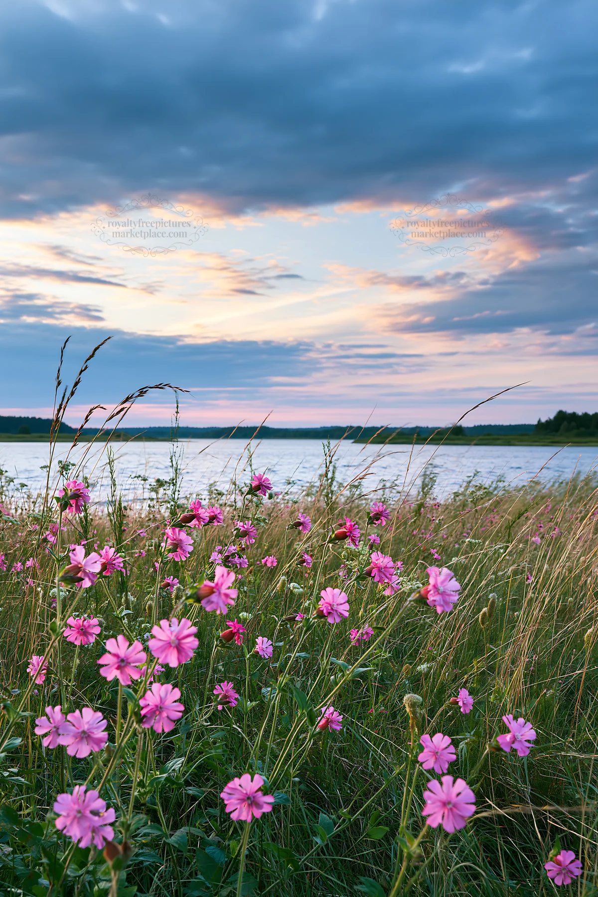 German lakeside meadow with flowers and cloudy sky - AI-generated stock image